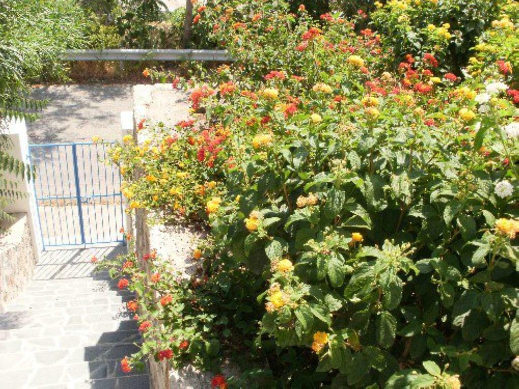 Villa Penelope & Calypso Acquacalda Zimmer foto